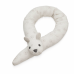 Bed snake, dandelion natural