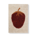 Carpet, fruiticana - strawberry (size S)