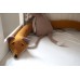 Bed hose, fox Freya - orange
