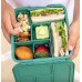 Little Lunch Box Co Bento 5 Lunchbox Apple