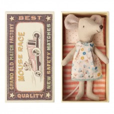 Big sister mouse in a box