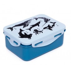 Lunchbox, Sea Animals