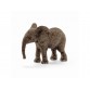 African Elephant - Calf