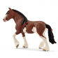 Clydesdale mare