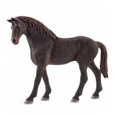 English Thoroughbred stallion