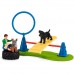 Obstacle course for dogs