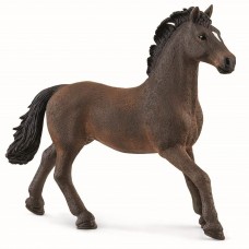 Oldenburger stallion
