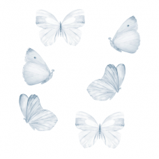 Wallstories - Blue butterflies