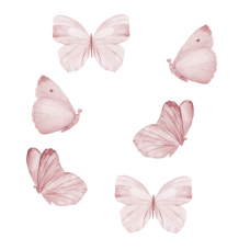 Wallstories - Rose butterflies