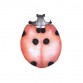 Wallstories - Oscar the Ladybug