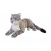 Snow leopard, 76 cm