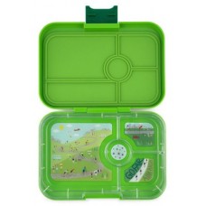 Lunch box, 4 compartments (tapas) - Avocado green (Delivery: Week 6)