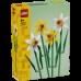 LEGO Flowers 40747 Daffodils