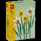 LEGO Flowers 40747 Daffodils