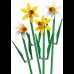 LEGO Flowers 40747 Daffodils